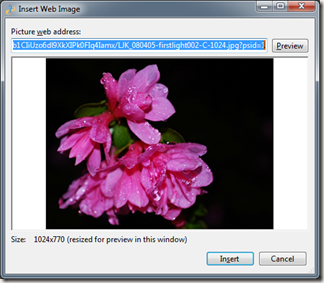 Insert web image in Live Writer